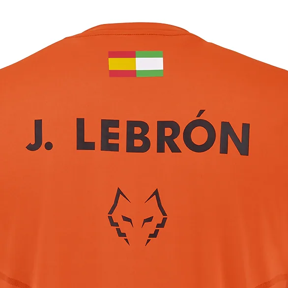 Tee-shirt Babolat Crew Neck Lebrón Homme – Rouge